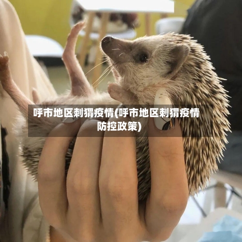 呼市地区刺猬疫情(呼市地区刺猬疫情防控政策)-第2张图片