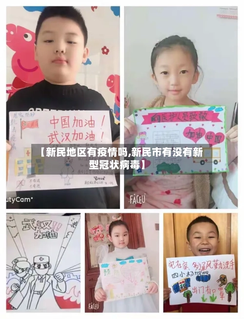 【新民地区有疫情吗,新民市有没有新型冠状病毒】-第3张图片