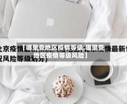 【哪里查地区疫情等级,哪里查地区疫情等级风险】-第2张图片