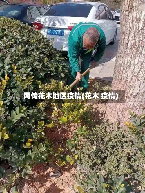 网传花木地区疫情(花木 疫情)-第2张图片