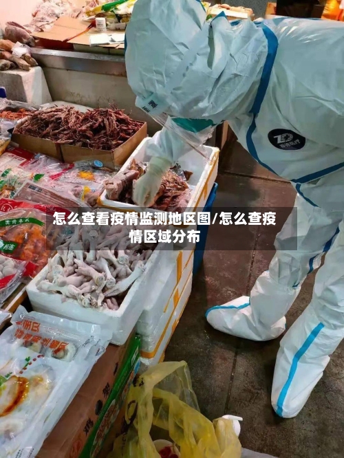 怎么查看疫情监测地区图/怎么查疫情区域分布