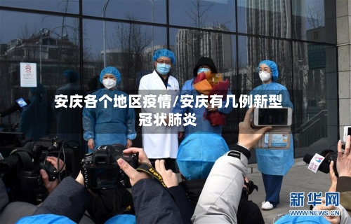 安庆各个地区疫情/安庆有几例新型冠状肺炎