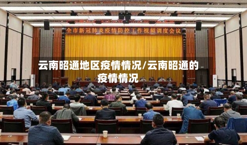 云南昭通地区疫情情况/云南昭通的疫情情况-第3张图片