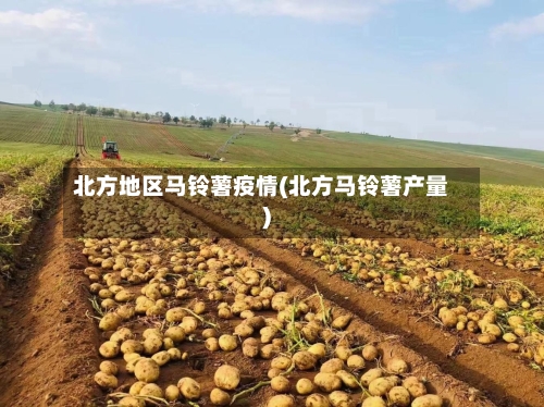 北方地区马铃薯疫情(北方马铃薯产量)-第2张图片