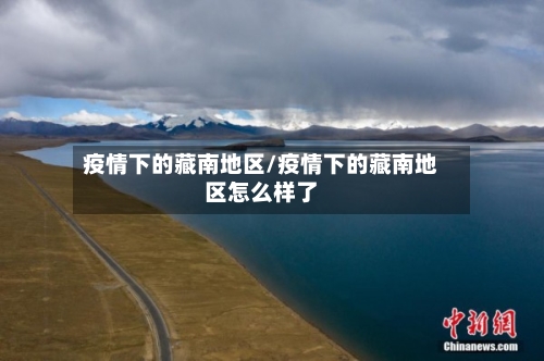 疫情下的藏南地区/疫情下的藏南地区怎么样了