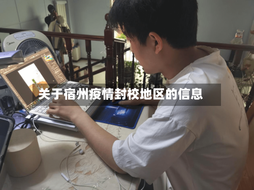 关于宿州疫情封校地区的信息