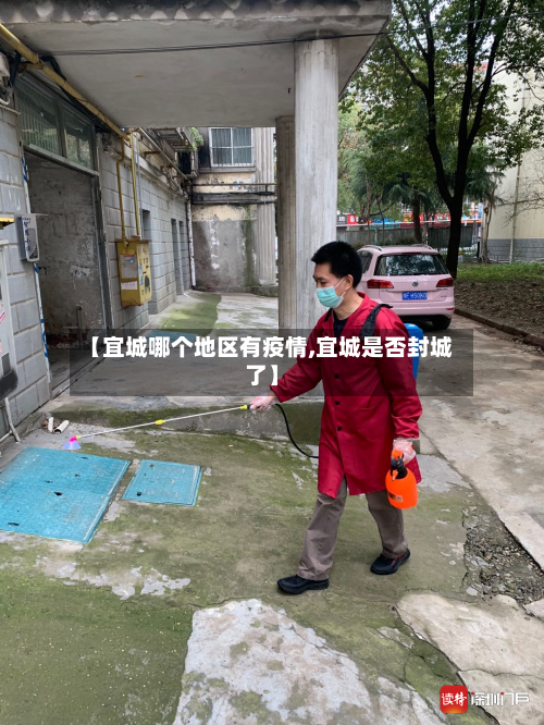 【宜城哪个地区有疫情,宜城是否封城了】