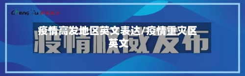 疫情高发地区英文表达/疫情重灾区 英文-第2张图片