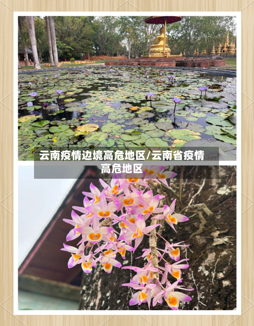 云南疫情边境高危地区/云南省疫情高危地区-第2张图片