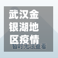 武汉金银湖地区疫情(武汉金银潭疫情实况)-第3张图片