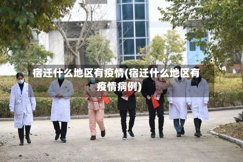 宿迁什么地区有疫情(宿迁什么地区有疫情病例)-第2张图片