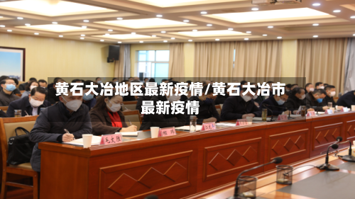 黄石大冶地区最新疫情/黄石大冶市最新疫情-第2张图片
