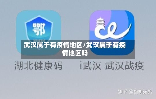 武汉属于有疫情地区/武汉属于有疫情地区吗