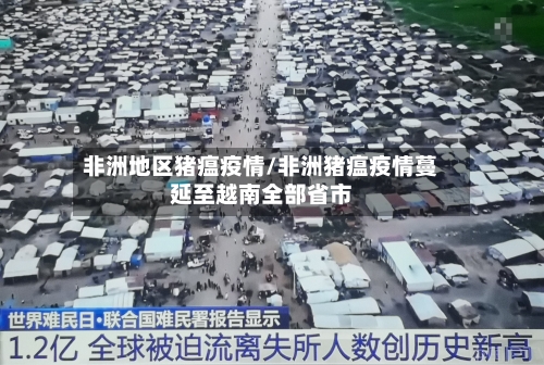 非洲地区猪瘟疫情/非洲猪瘟疫情蔓延至越南全部省市-第2张图片