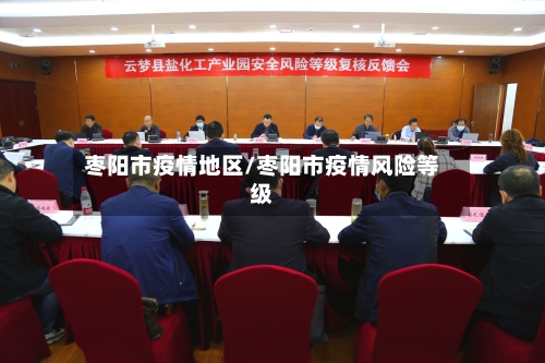 枣阳市疫情地区/枣阳市疫情风险等级