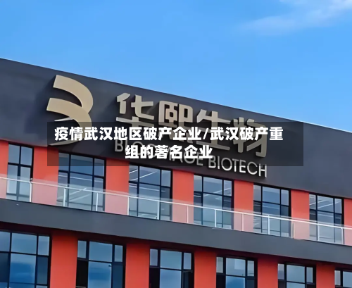 疫情武汉地区破产企业/武汉破产重组的著名企业