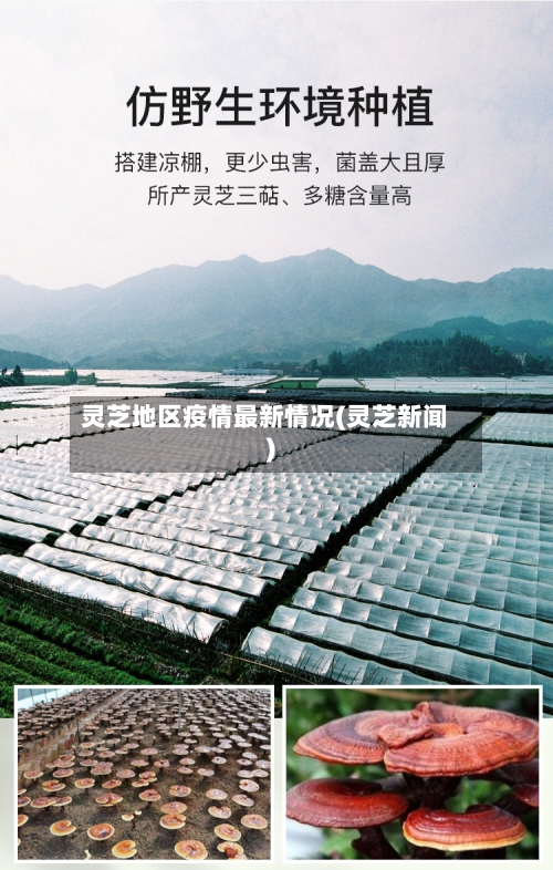 灵芝地区疫情最新情况(灵芝新闻)