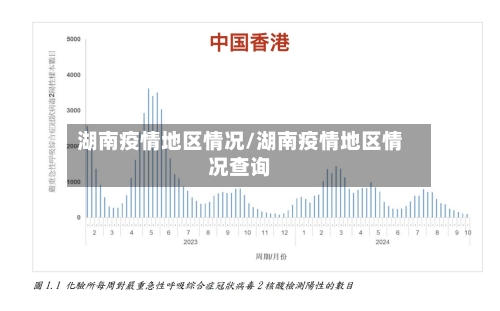 湖南疫情地区情况/湖南疫情地区情况查询