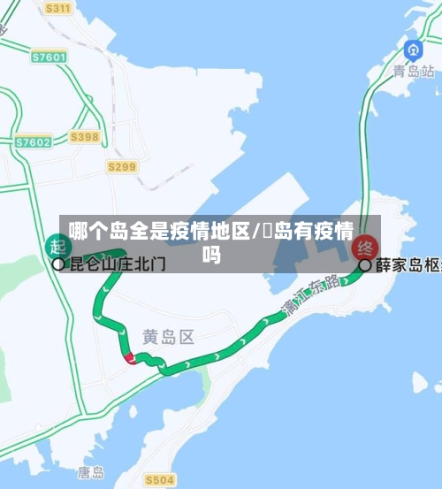 哪个岛全是疫情地区/靑岛有疫情吗-第3张图片