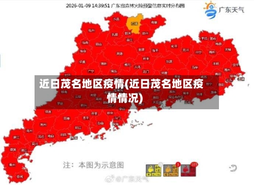 近日茂名地区疫情(近日茂名地区疫情情况)