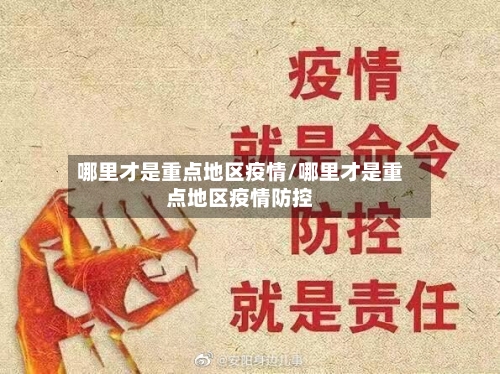 哪里才是重点地区疫情/哪里才是重点地区疫情防控-第2张图片