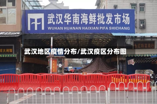 武汉地区疫情分布/武汉疫区分布图-第2张图片