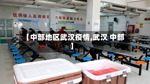 【中部地区武汉疫情,武汉 中部】