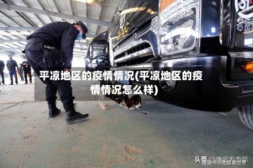 平凉地区的疫情情况(平凉地区的疫情情况怎么样)-第3张图片