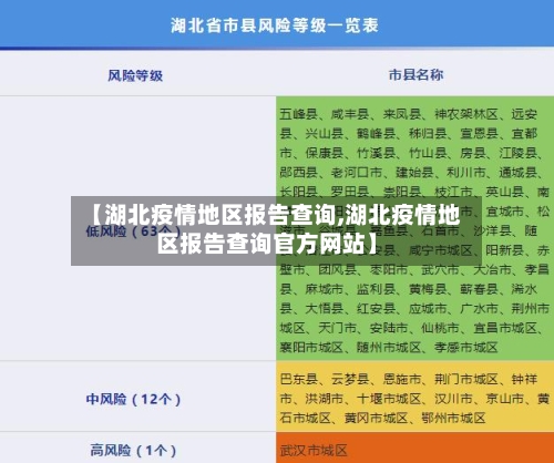 【湖北疫情地区报告查询,湖北疫情地区报告查询官方网站】-第3张图片