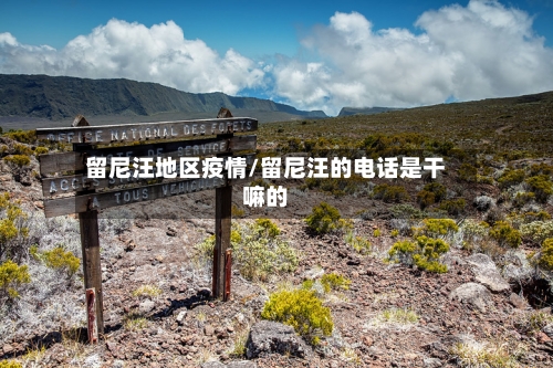 留尼汪地区疫情/留尼汪的电话是干嘛的-第2张图片