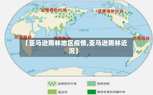 【亚马逊雨林地区疫情,亚马逊雨林近况】-第2张图片