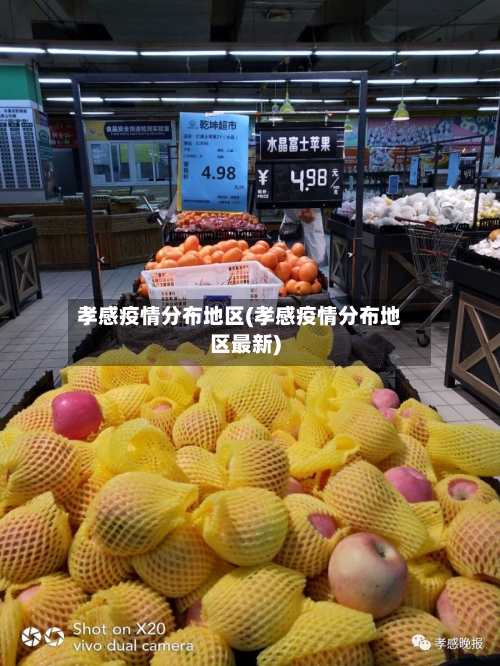 孝感疫情分布地区(孝感疫情分布地区最新)-第2张图片