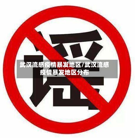 武汉流感疫情暴发地区/武汉流感疫情暴发地区分布