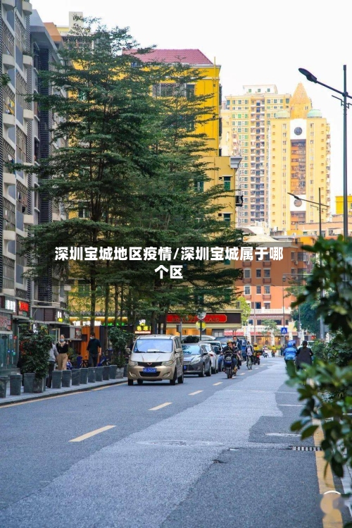 深圳宝城地区疫情/深圳宝城属于哪个区