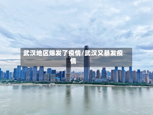 武汉地区爆发了疫情/武汉又暴发疫情