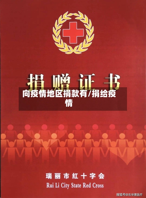 向疫情地区捐款有/捐给疫情