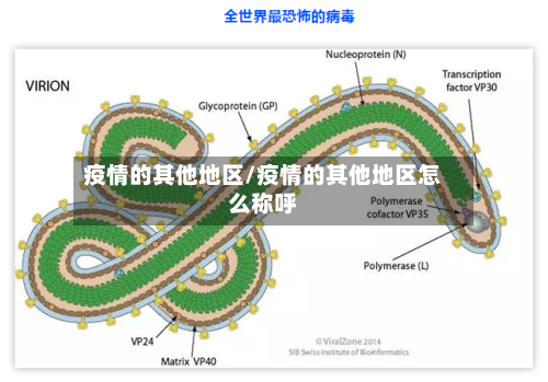疫情的其他地区/疫情的其他地区怎么称呼-第2张图片