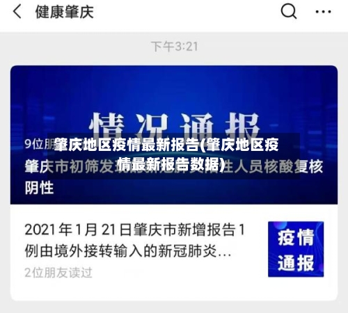 肇庆地区疫情最新报告(肇庆地区疫情最新报告数据)-第2张图片