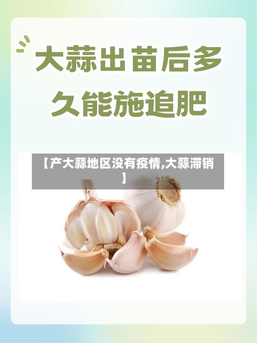 【产大蒜地区没有疫情,大蒜滞销】