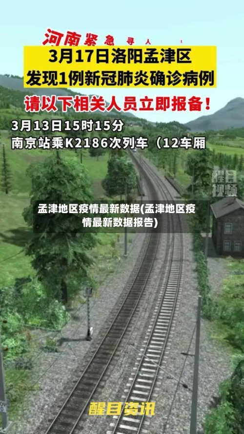 孟津地区疫情最新数据(孟津地区疫情最新数据报告)-第2张图片