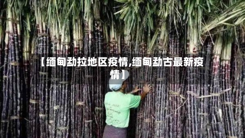 【缅甸勐拉地区疫情,缅甸勐古最新疫情】-第2张图片