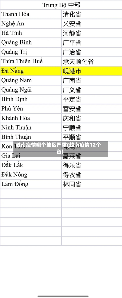 越南疫情哪个地区严重(越南疫情12个省)