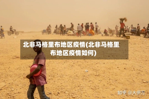 北非马格里布地区疫情(北非马格里布地区疫情如何)-第2张图片