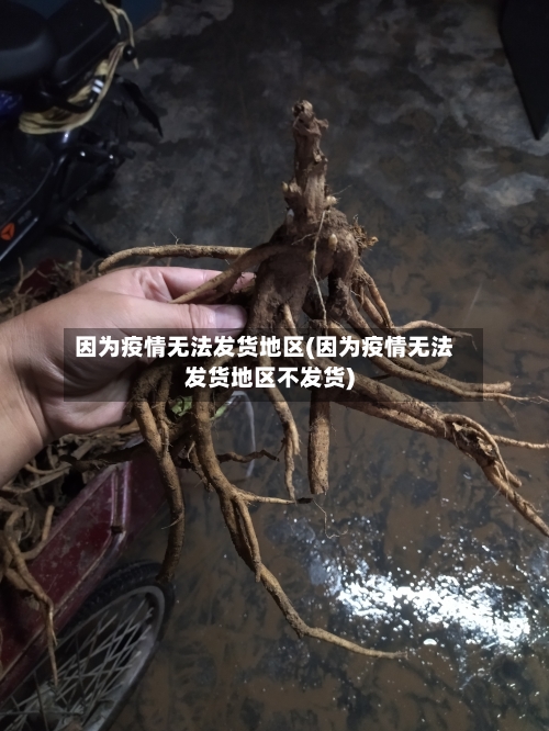 因为疫情无法发货地区(因为疫情无法发货地区不发货)-第2张图片