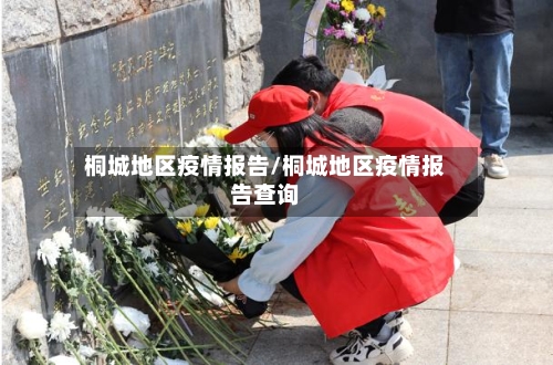 桐城地区疫情报告/桐城地区疫情报告查询