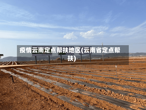 疫情云南定点帮扶地区(云南省定点帮扶)