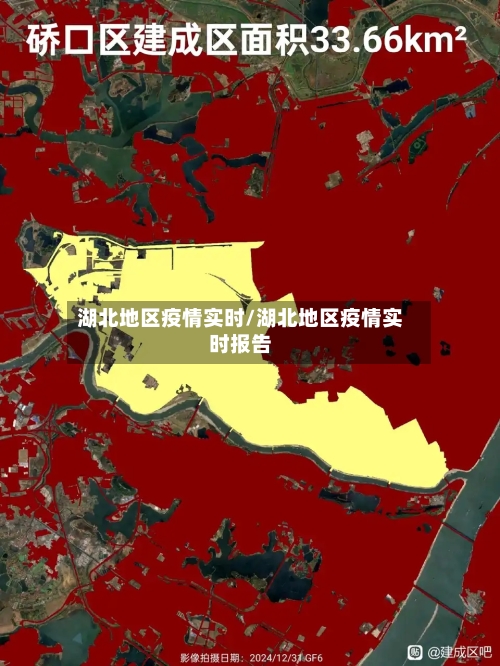 湖北地区疫情实时/湖北地区疫情实时报告