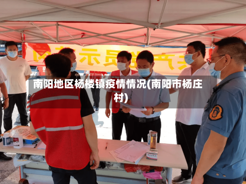 南阳地区杨楼镇疫情情况(南阳市杨庄村)