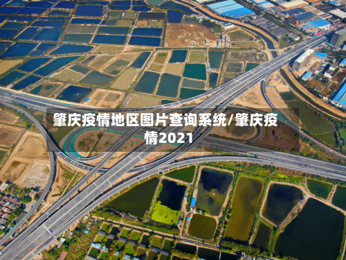 肇庆疫情地区图片查询系统/肇庆疫情2021-第2张图片