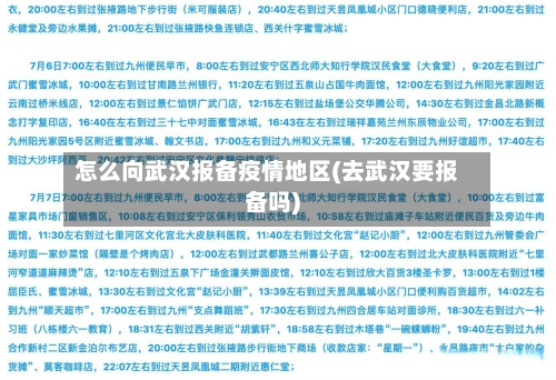 怎么向武汉报备疫情地区(去武汉要报备吗)